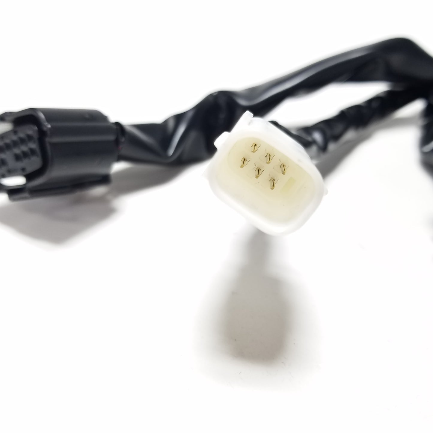 Image #11