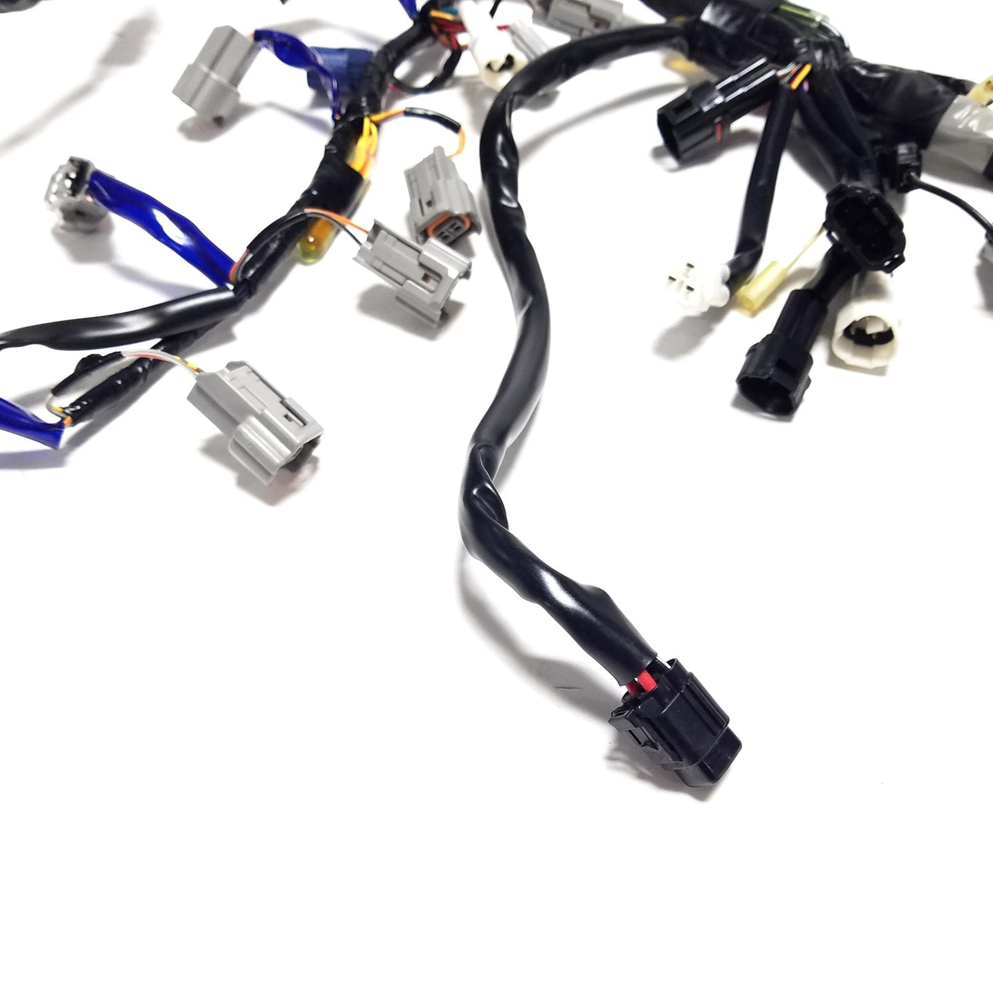 Image #13